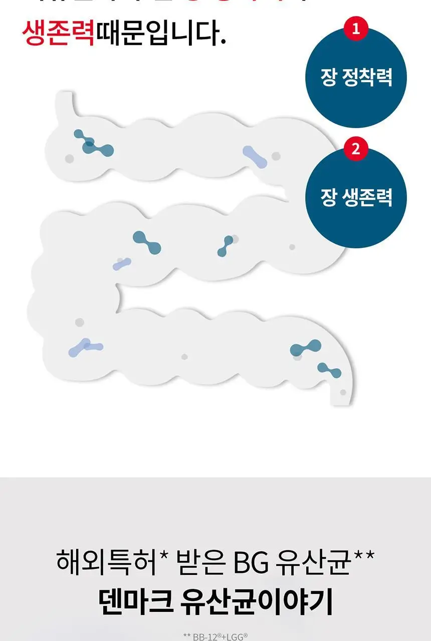 [덴마크 직수입] 덴프스 덴마크 유산균이야기 1/3/6박스 (2/6/12개월분) +증정품(3박스 구매 시) 상세페이지 8